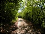 Planina (Dolnja Planina) - Grmada (Planinska gora)